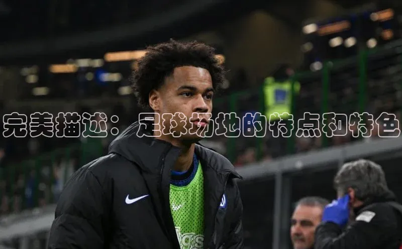 zoty中欧体育平台官网百度手机卫士完美描述：足球场地的特点和特色