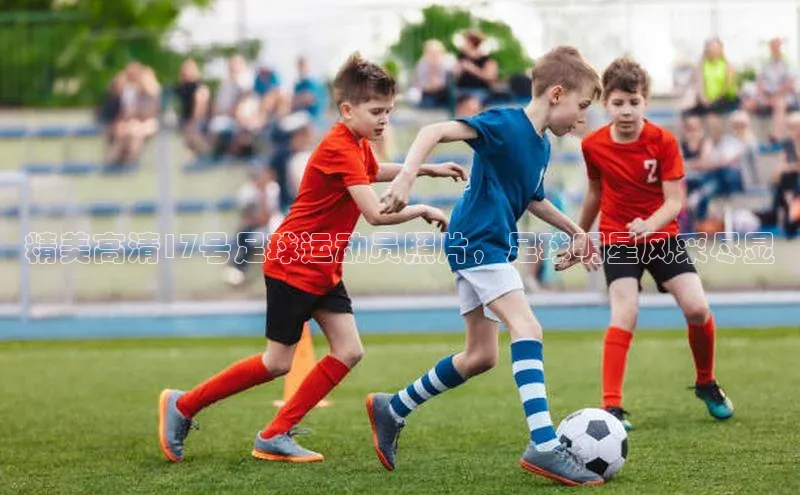 中欧体育app下载百度大脑精美高清17号足球运动员照片，足球明星风采尽显