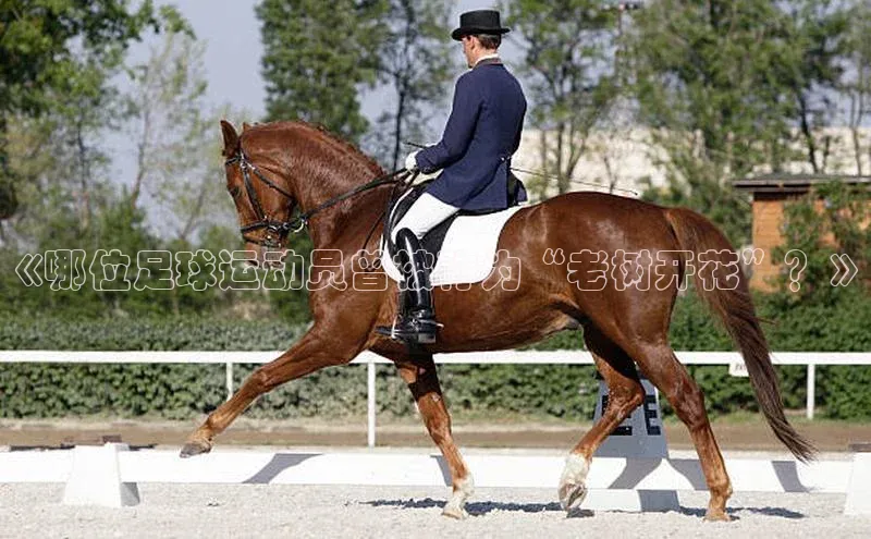 Zoty中欧体育登录入口百度Apollo《哪位足球运动员曾被称为“老树开花”？》