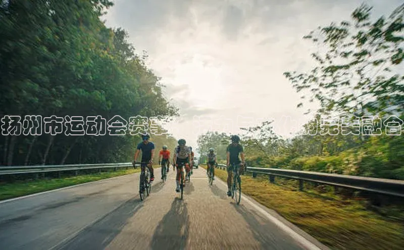 扬州市运动会赛事：活力与文化的完美融合
