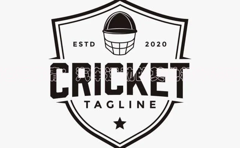 追逐激情：汽车运动的其他精彩赛事