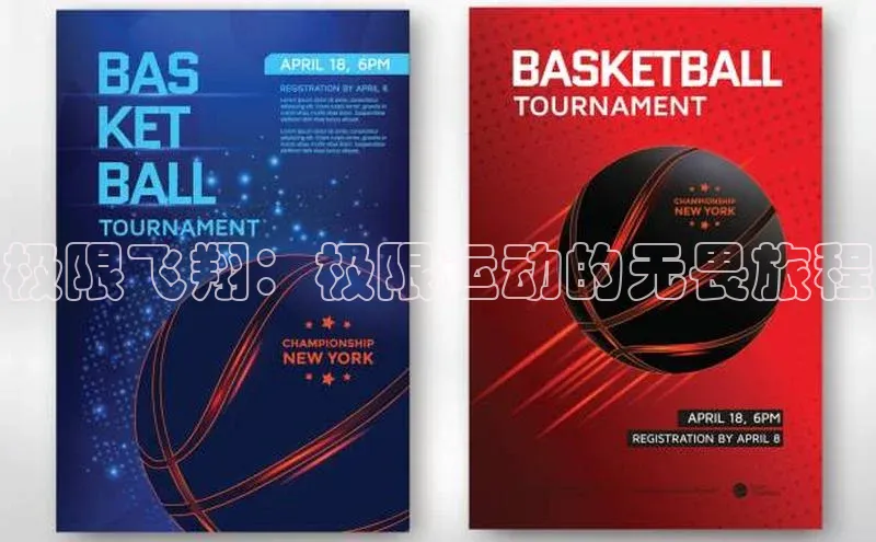 极限飞翔：极限运动的无畏旅程