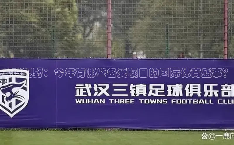 全球视野：今年有哪些备受瞩目的国际体育盛事？