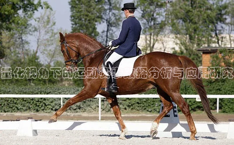 量化视角下的运动赛事数据分析与应用研究