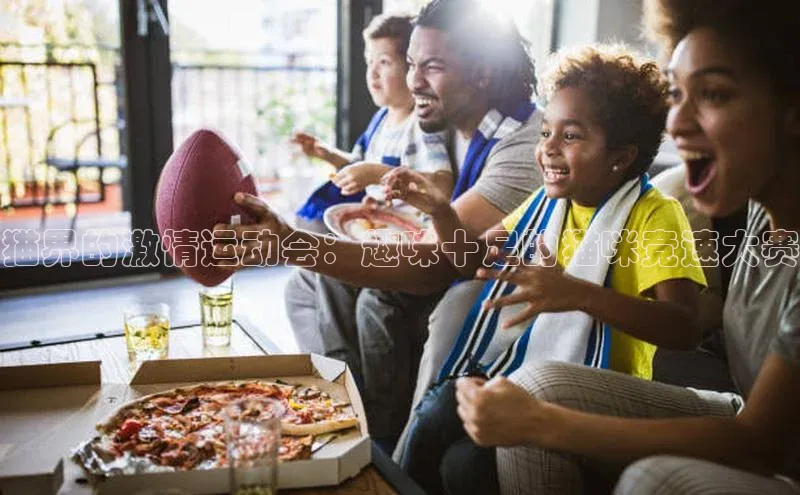 猫界的激情运动会：趣味十足的猫咪竞速大赛