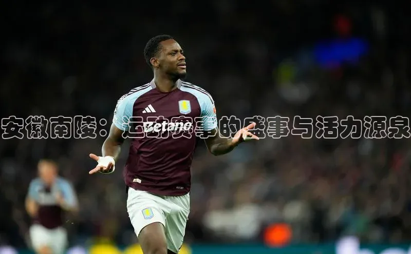 安徽南陵：运动赛事的盛事与活力源泉