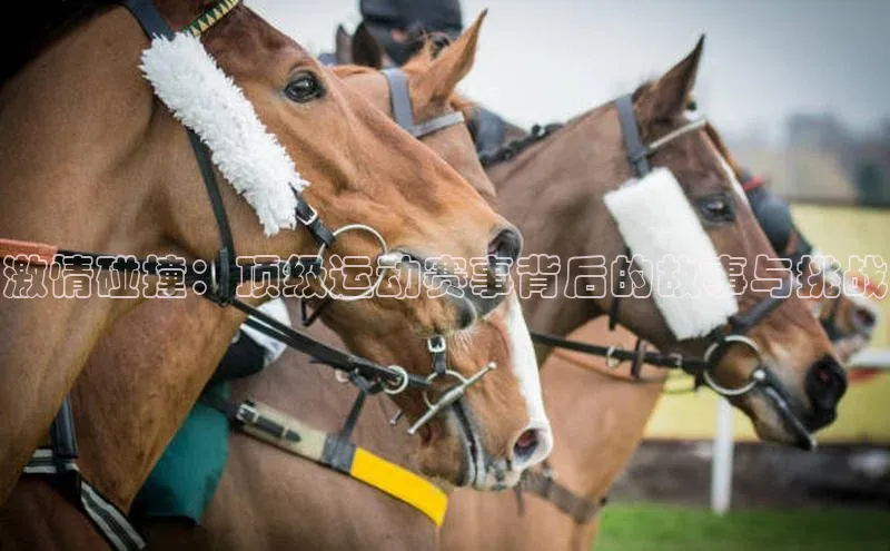 激情碰撞：顶级运动赛事背后的故事与挑战