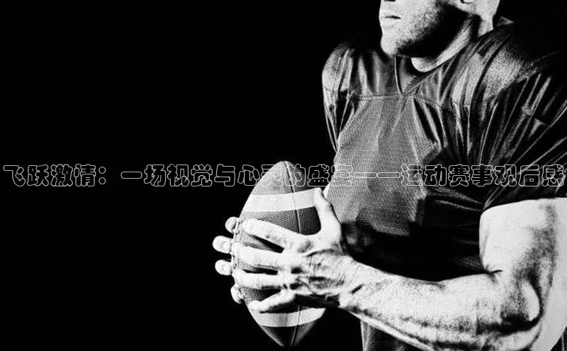 飞跃激情：一场视觉与心灵的盛宴——运动赛事观后感