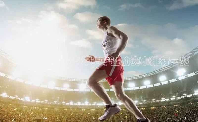 竞速巅峰：2023年赛车运动赛事排行一览