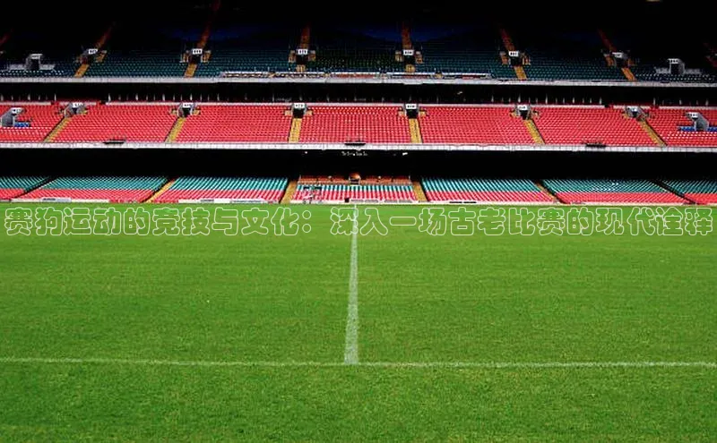 赛狗运动的竞技与文化：深入一场古老比赛的现代诠释