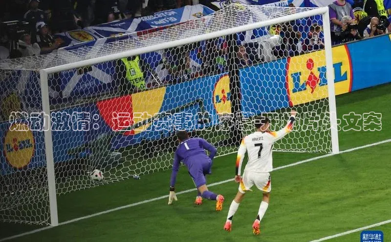 中欧体育下载地址VIP入口