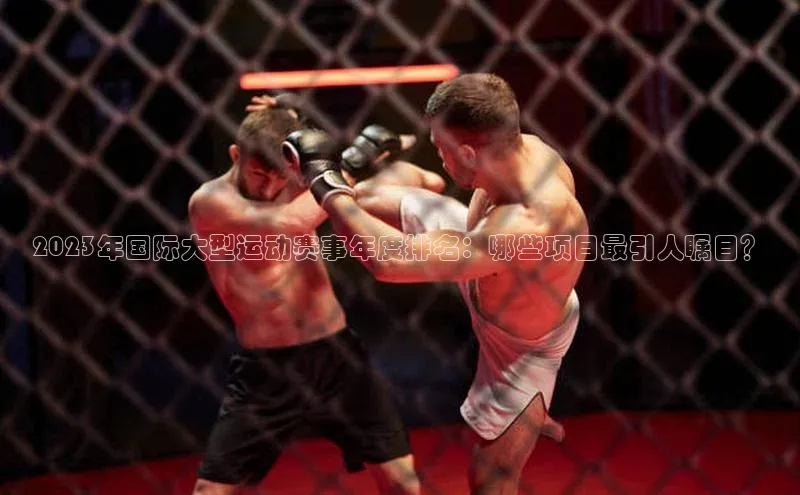 2023年国际大型运动赛事年度排名：哪些项目最引人瞩目？