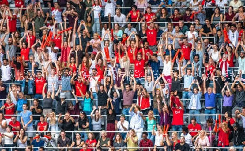 中欧体育官方平台入口